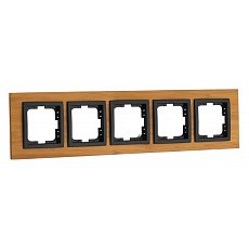 Рамка на 5 постов mono electric sty...